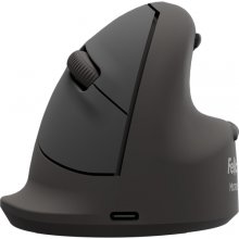 Fellowes Breyta Plus Raton Inalambrico Ergonomico Vertical 2400ppp - TamaÃ±o Grande - BluetoothÂ®, Dongle USB y Conexion por Cable - Certificado por FIRA - Uso Diestro - Color Negro