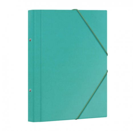 Dohe Carpeta Clasificadora 12 Departamentos - Formato Folio - Carton Plastificado - Cierre con Gomas - Color Verde Claro