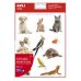 Apli Gomets Tematicos Realistas de Mascotas - 132 Gomets en 12 Hojas - Adhesivo Removible - Ideal para Desarrollar Habilidades Motoras - Normas EN-71 y FSC - 100% Reciclables - Coloridos (5 uds)