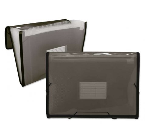 Ingraf Carpeta Frame Fuelle 13 Bolsillos - Polipropileno Translucido - Gomas y Solapas - Tamaño A4