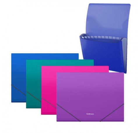 Erichkrause Pack de 4 Clasificadores Matt Vivid - 12 Fundas - Tamaño A4 - Colores Surtidos