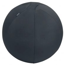 Leitz Ergo Active Balon de Asiento Antideslizante 55cm - Asa de Transporte Resistente - Carga Maxima de 120kg - Funda Lavable - Color Gris Oscuro