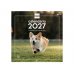 Finocam Cachorros Calendario de Pared - 16 Meses 26/27 - Mes Vista - 300x300mm - Papel de 170g/m2 - Imagenes Tematicas Surtidas - Espacio para Notas