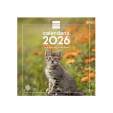 Finocam Calendario de Pared - Anual 2026 - Imagenes Variadas - 300x300mm - Espacio para Escribir - Tematica de Gatos