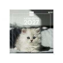 Finocam Gatitos Calendario de Pared - 16 Meses 26/27 - Mes Vista - 300x300mm - Papel de 170g/m2 - Imagenes Tematicas Surtidas - Espacio para Notas