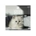 Finocam Gatitos Calendario de Pared - 16 Meses 26/27 - Mes Vista - 300x300mm - Papel de 170g/m2 - Imagenes Tematicas Surtidas - Espacio para Notas