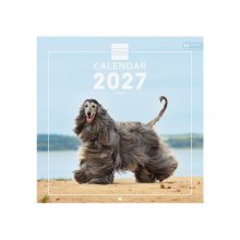 Finocam Dogs Calendario de Pared Internacional - 16 Meses 26/27 - Mes Vista - 300x300mm - Papel de 170g/m2 - Imagenes Tematicas Surtidas - Espacio para Notas - Multilenguaje Finocam Dogs Calendario de Pared Internacional - 16 Meses 26/27 - Mes Vista - 300x300mm - Papel de 170g/m2 - Imagenes Tematicas Surtidas - Espacio para Notas - Multilenguaje