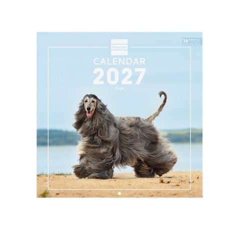 Finocam Dogs Calendario de Pared Internacional - 16 Meses 26/27 - Mes Vista - 300x300mm - Papel de 170g/m2 - Imagenes Tematicas Surtidas - Espacio para Notas - Multilenguaje