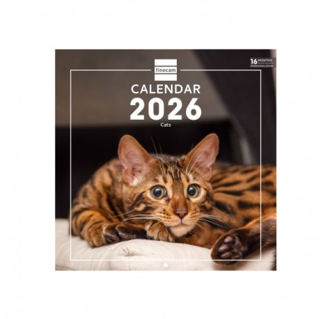 Finocam Calendario de Pared Internacional - Anual 2026 - Imagenes Variadas - 311x5x305mm - Tematica de Gatos