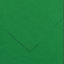 Canson Guarro Pack de 25 Cartulinas Iris A4 de 185g - 50x65cm - Color Verde Abeto