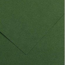 Canson Guarro Pack de 25 Cartulinas Iris A4 de 185g - 50x65cm - Color Verde Amazonas