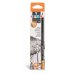 Carioca Pack de 12 Lapices de Grafito Black 2B - Facil de Borrar y Sacar Punta - Cuerpo Triangular Agradable al Tacto - Mina Resistente a las Caidas - Color Negro