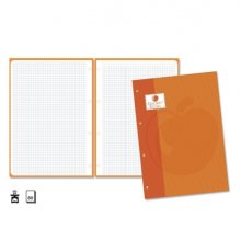 Golden Extra Recambio de 80 Hojas 90gr Cuadricula 4x4 - Formato A4 - 4 Taladros y Banda de Color Naranja