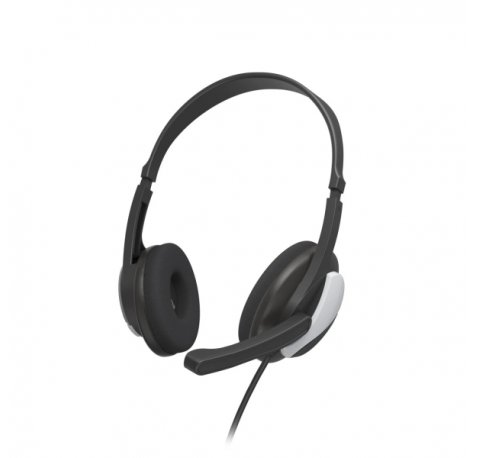 Hama Hs-P100 V2 Auriculares con Microfono Omnidireccional - Cable 2m - Jack 3.5mm - Diadema Ajustable - Almohadillas de Malla - Color Negro y Plata