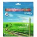 Lyra Graduate Pack de 24 Lapices de Colores - Hexagonal - Color Negro