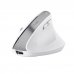 Trust Ergo BayoII+ Teclado Inalambrico - Sensor Optico Ajustable Entre 800 y 2400 DPI - 6 Botones - Notificaciones LED - Multidispositivo - Color Blanco